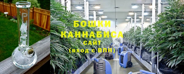 шишки Балабаново