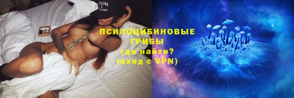 крисы Балахна
